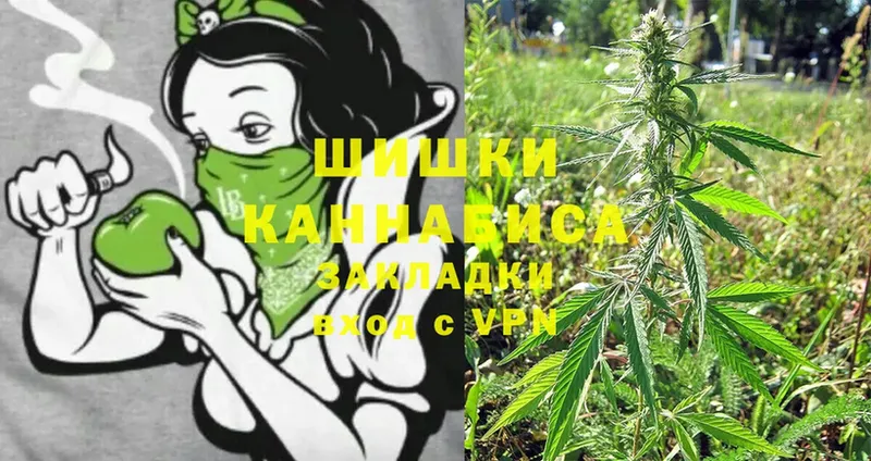 МАРИХУАНА OG Kush  где можно купить   Андреаполь 